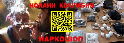 молекула духа Кингисепп