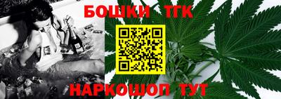 молекула духа Кингисепп