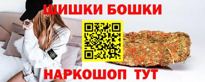 молекула духа Кингисепп
