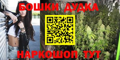 spice Кинель