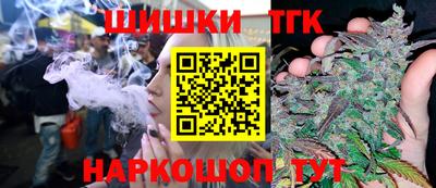 молекула духа Кингисепп