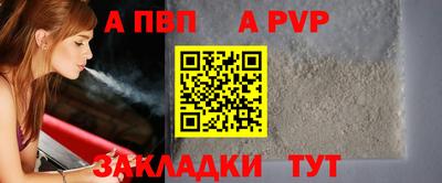 молекула духа Кингисепп