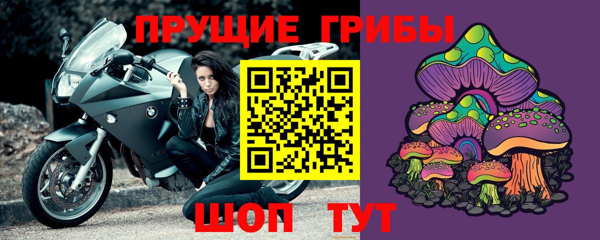Красноярск  Псилоцибиновые грибы Psilocybe  Вход с VPN 